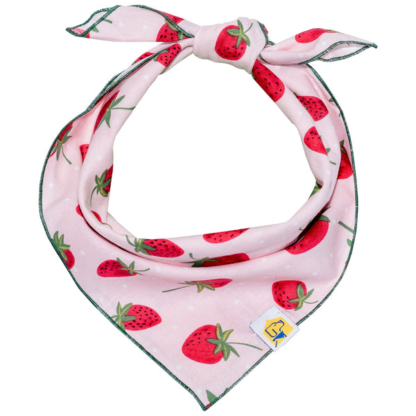 Strawberry Fields Forever Dog Bandana - 1