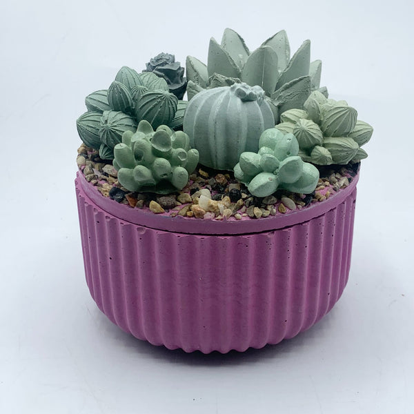 Concrete Succulent Garden Container - Ribbed - 7