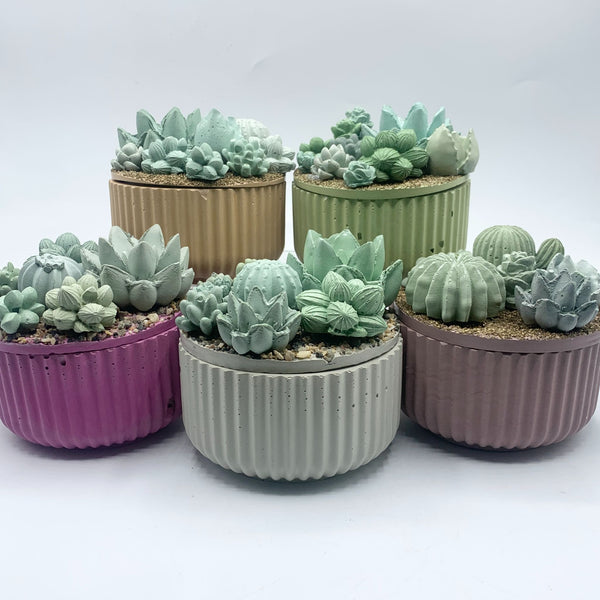 Concrete Succulent Garden Container - Ribbed - 1