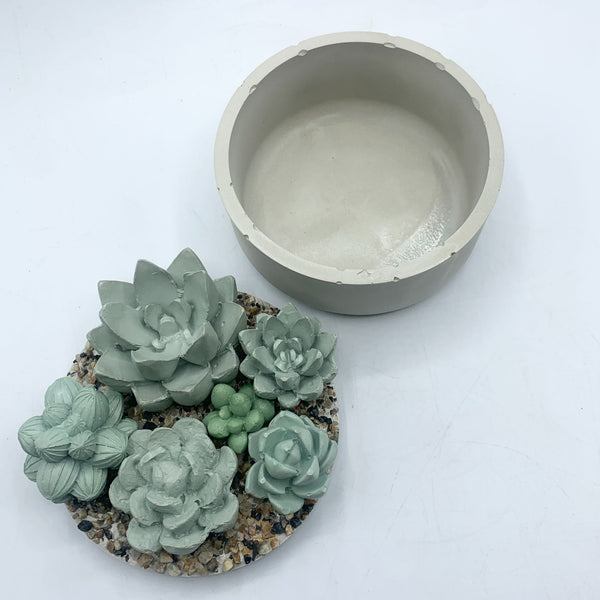 Concrete Succulent Garden Container - 2