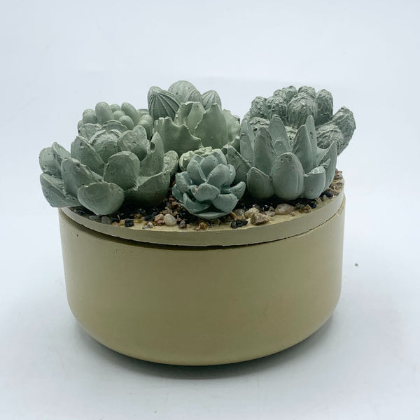 Concrete Succulent Garden Container - 3