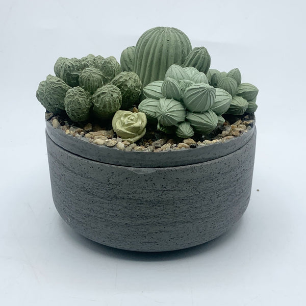 Concrete Succulent Garden Container - 4