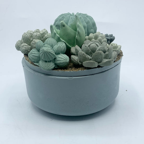 Concrete Succulent Garden Container - 5