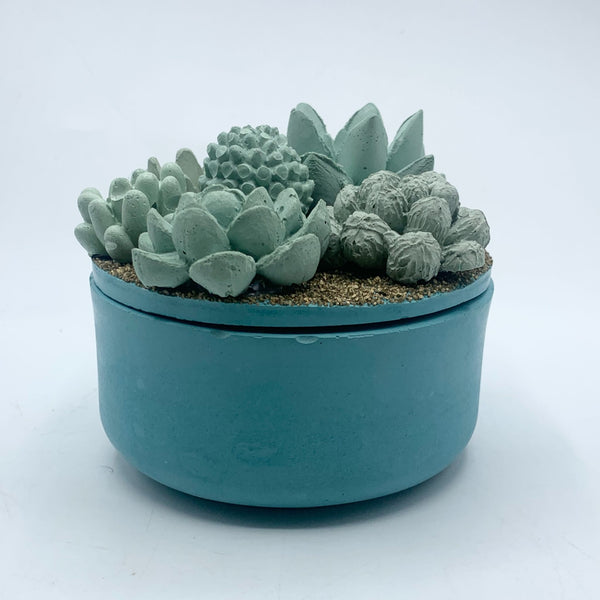 Concrete Succulent Garden Container - 6