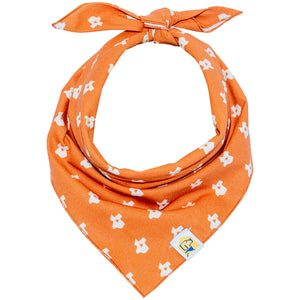 Texas State in Rust Dog Bandana - 1