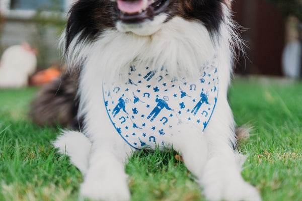 Big Tex in Blue Dog Bandana - 2