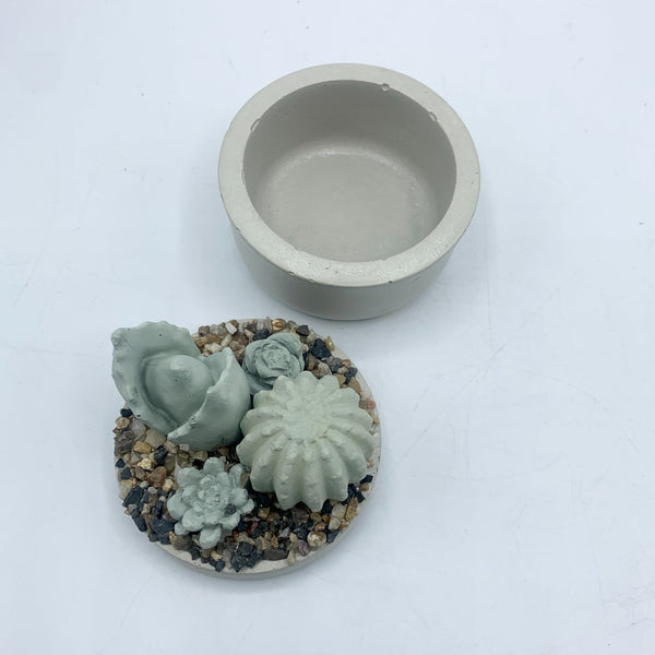 Mini Concrete Succulent Garden Container - 2