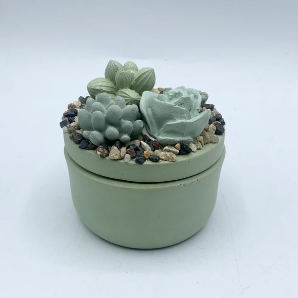 Mini Concrete Succulent Garden Container - 3