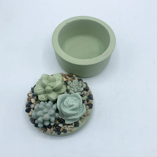 Mini Concrete Succulent Garden Container - 4