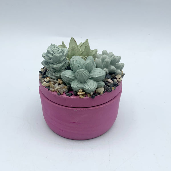 Mini Concrete Succulent Garden Container - 5