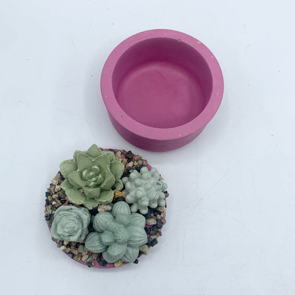 Mini Concrete Succulent Garden Container - 6