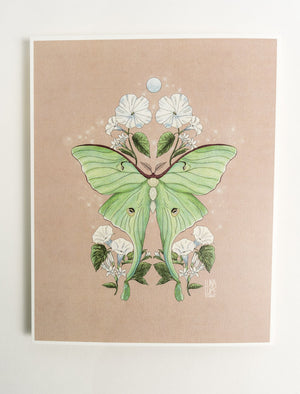 Luna Moth Art Print | Cream Background - 1