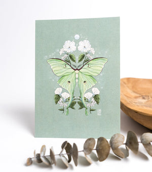 Luna Moth Art Print | Green Background - 1