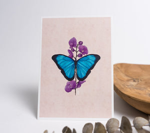 Blue Morpho Butterfly Art Print | Pink Background - 1