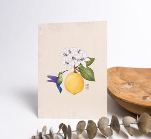 Hummingbird and Lemon Fruit Art Print  - 1