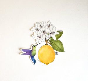 Hummingbird and Lemon Fruit Sticker - 1