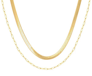 Double Layer Gold Necklace  - 1