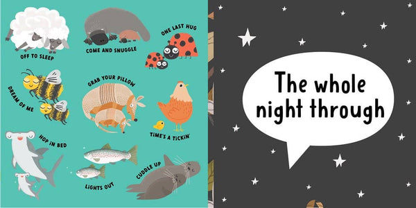 Grab Your Pillow, Armadillo: A Silly Book of Fun Goodnights Book