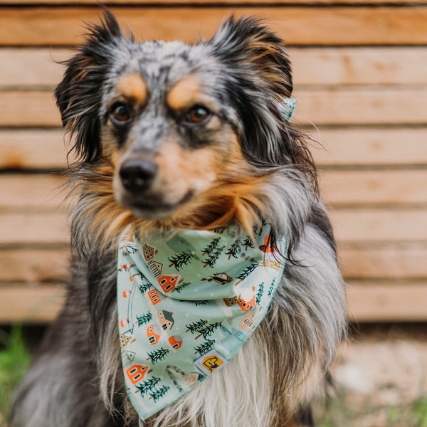 Winter Village Dog Bandana - 2